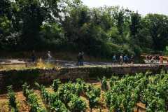 IMG-20230620-WA0027