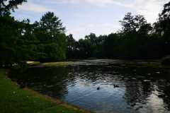 IMG-20230620-WA0039