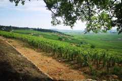 IMG-20230620-WA0041