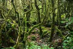 IMG-20230620-WA0042