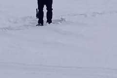 IMG-20240118-WA0000