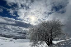 IMG-20240119-WA0083