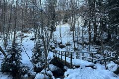 IMG-20240119-WA0102
