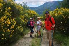 IMG-20240623-WA0049