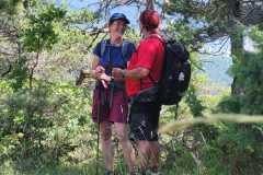 IMG-20240625-WA0037