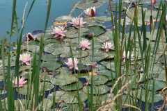 IMG-20240627-WA0030