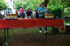 IMG-20240627-WA0046