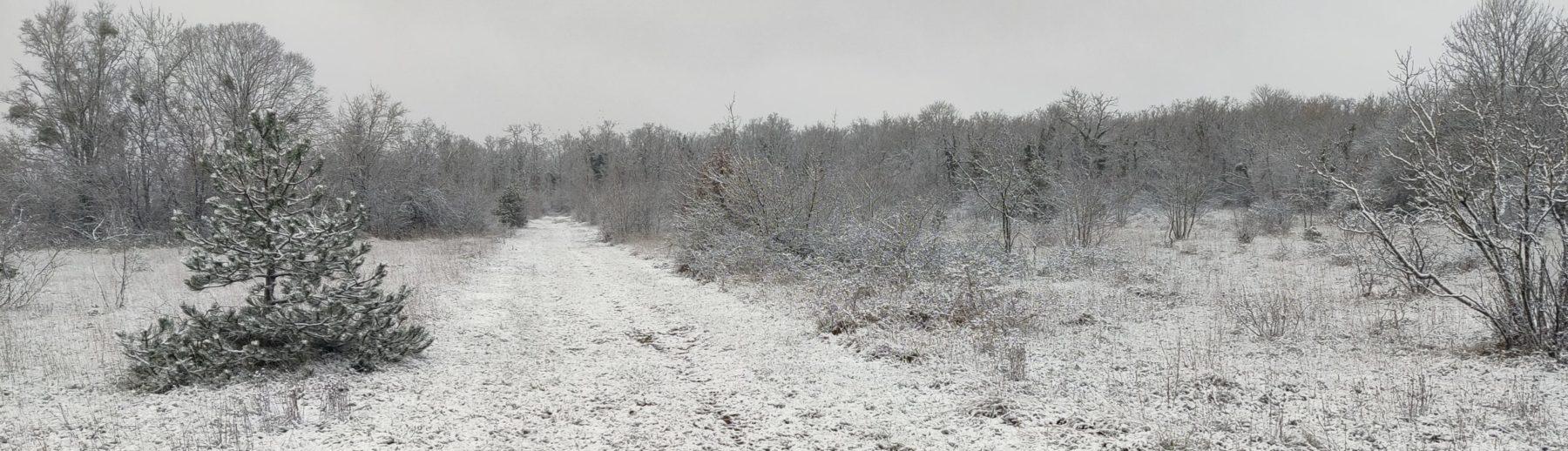 Association Saint Apo