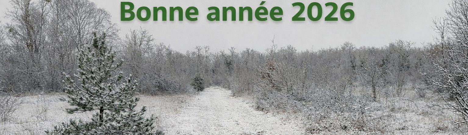 Association Saint Apo